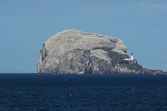 Bass Rock (Jan-van-Genten).jpg